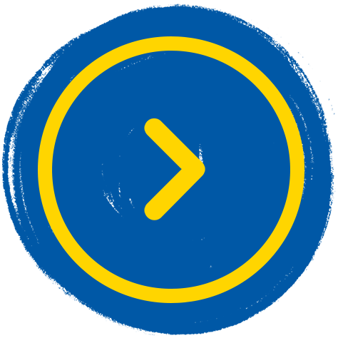 Seta